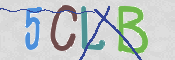 CAPTCHA 驗證圖片